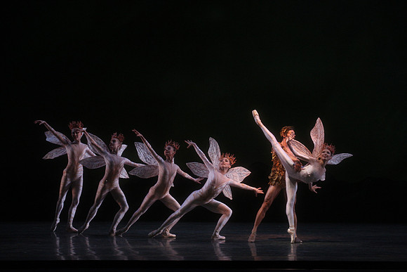 20160317_Midsummer_Night's_Dream_DR_Closeup_IMG_5553