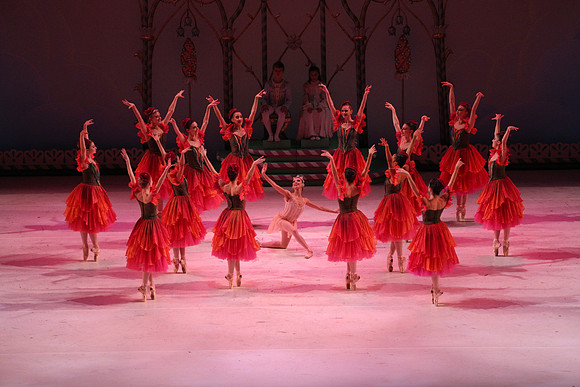 20141229_Nutcracker_WPB_Flowers__CG3P2064