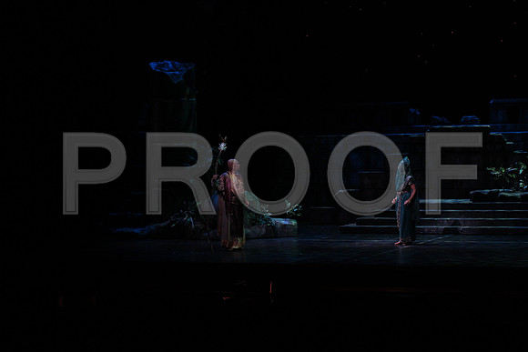 20150303_Pearl_Fisher_Act2_CG3P5999