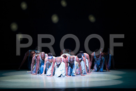 20170224_Alvin_Ailey_Night_Creature_PR_73A8505