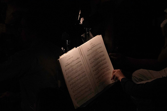 20240417_Swan_Lake_Orchestra_DSC5069.ARW