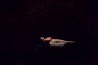 5029_DG_Miami_City_Ballet_Romeo_and_Juliet_Broward_center_2011_MG_7629