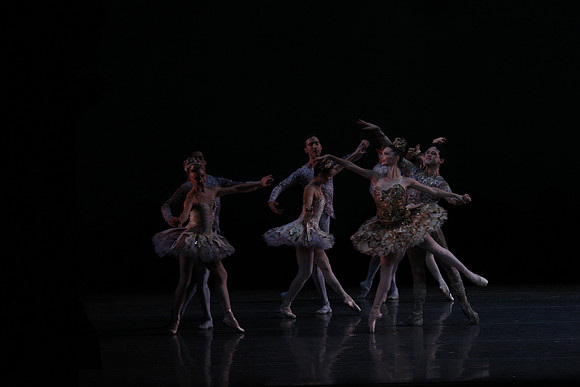 20160318_Midsummer_Night's_Dream_PR_Closeup_G3P0003