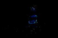 20150303_Pearl_Fisher_Act3_CG3P8810