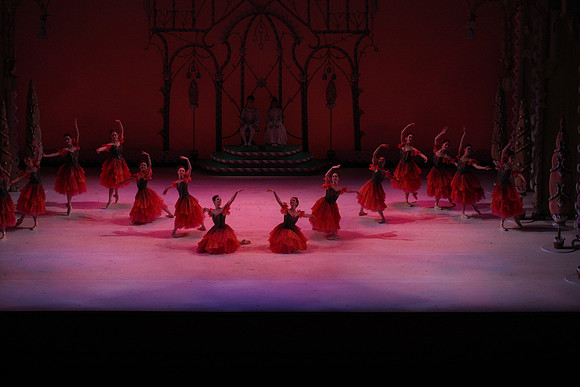 20141229_Nutcracker_WPB_Flowers__CG3P2035