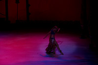20141229_Nutcracker_WPB_Arabian_CG3P0826