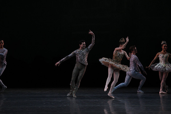20160318_Midsummer_Night's_Dream_PR_Closeup_G3P0088