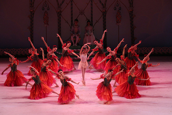20141229_Nutcracker_WPB_Flowers__CG3P2077