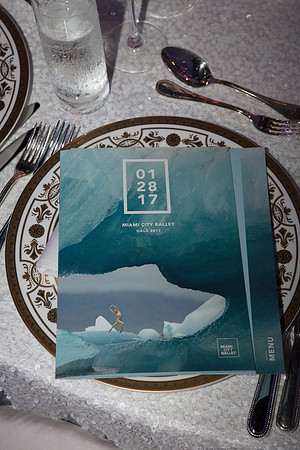 20170128_MCB_Gala_S5D6849
