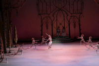 20141229_Nutcracker_WPB_Hoops_CG3P1351