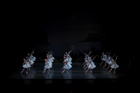 20151022_MCB_Swan_Lake_DR_WD_Arsht__75A6687