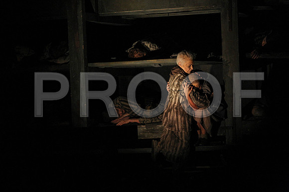 The Passenger Florida Grand Opera by Alexander Medvedev