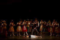 7064_DG_GISELLE_Broward_Preformance_Miami_City_Ballet_FL_AL1B1900