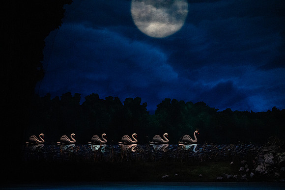 20240418_Swan_Lake_ACT_2_2_Cast_DSC5548.ARW
