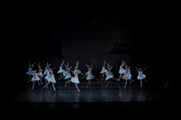 20151022_MCB_Swan_Lake_DR_WD_Arsht__75A6630
