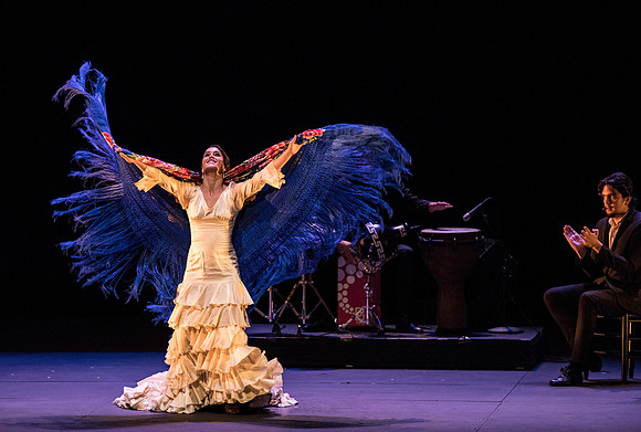 20170302_Stars_of_Flamenco_73A1703