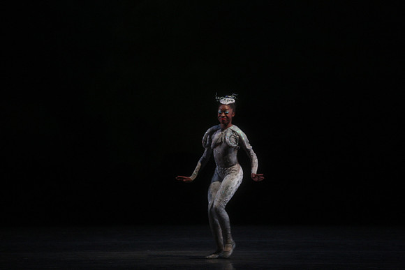 20160317_Midsummer_Night's_Dream_DR_Closeup_IMG_5422