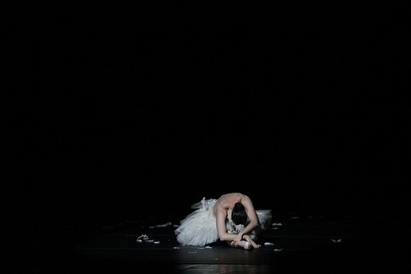 20150215_Les_Ballets_Trockadero_de_Monte_Carlo_CG3P0086