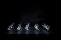 20151022_MCB_Swan_Lake_DR_WD_Arsht__75A6684