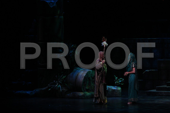 20150303_Pearl_Fisher_Act2_CG3P6026