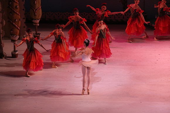 20141229_Nutcracker_WPB_Flowers__CG3P2152