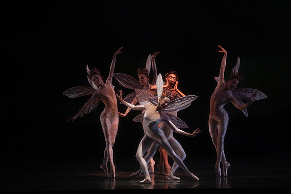 20160317_Midsummer_Night's_Dream_DR_Closeup_IMG_5610