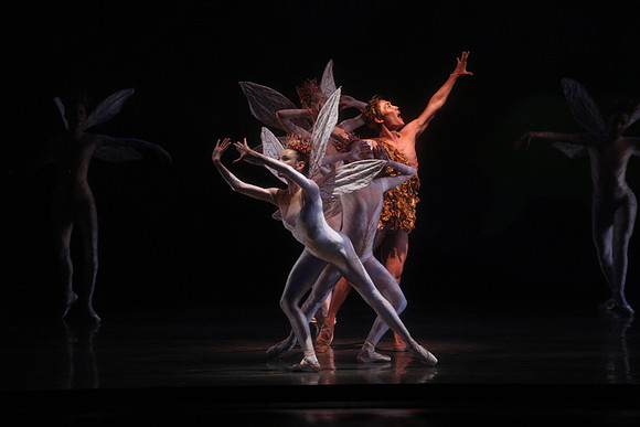 20160317_Midsummer_Night's_Dream_DR_Closeup_IMG_5602