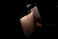 20240417_Swan_Lake_Orchestra_DSC5065.ARW