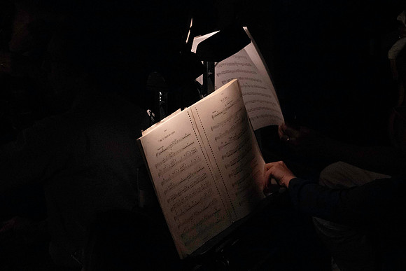 20240417_Swan_Lake_Orchestra_DSC5065.ARW