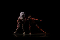 20160317_Midsummer_Nights_Dream_DR_Closeup_IMG_8185