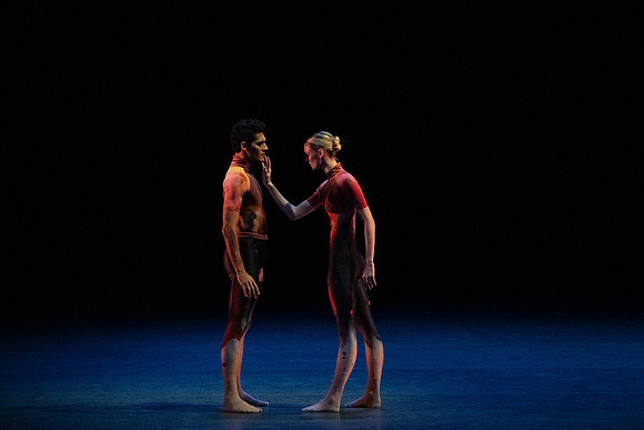 20240210_Winter_Mix_Analogo_MCB_DSC0039