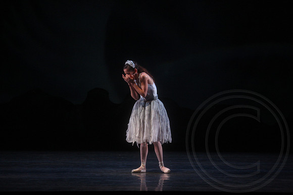 20160317_Midsummer_Nights_Dream_DR_Closeup_IMG_5889