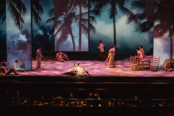 Before Night Falls Florida Grand Opera by Jorge Martin with Dolores M. Koch