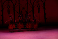 20141229_Nutcracker_WPB_Flowers__CG3P2026
