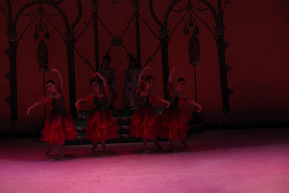 20141229_Nutcracker_WPB_Flowers__CG3P2026