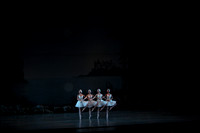 20151025_MCB_Swan_Lake_2Cast_Arsht_IMG_0020