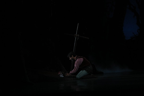 20161020_MCB_Giselle_Act2_DRDA_Arsht_73A5895