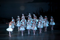 20151114_Swan_Lake_George_Balanchine_Kravis_IMG_6530