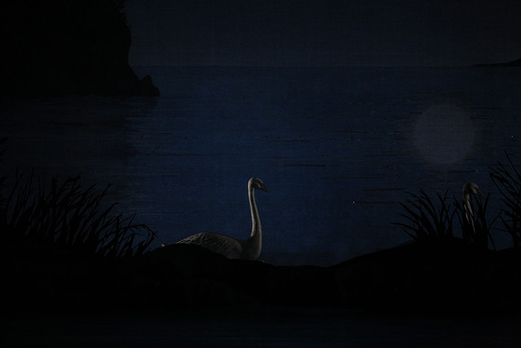 20151022_MCB_Swan_Lake_DR_Arsht_IMG_7612