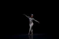 20160317_Midsummer_Night's_Dream_DR_Closeup_IMG_5419