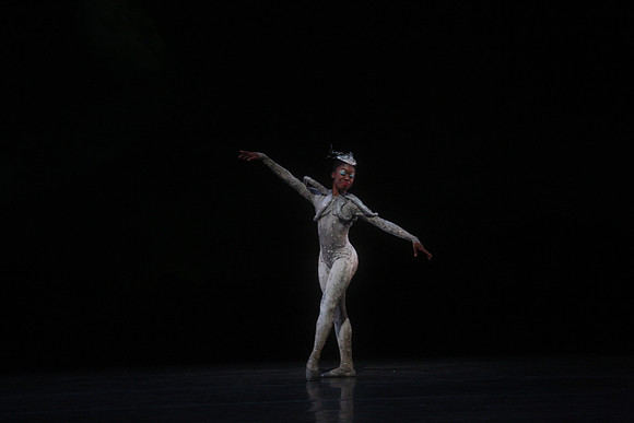 20160317_Midsummer_Night's_Dream_DR_Closeup_IMG_5419