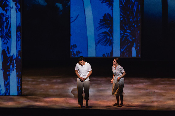 Before Night Falls Florida Grand Opera by Jorge Martin with Dolores M. Koch