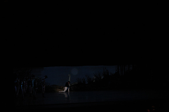 20151025_MCB_Swan_Lake_2Cast_Arsht_IMG_1494