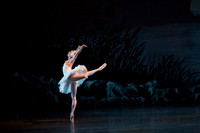 20151022_MCB_Swan_Lake_DR_Arsht_IMG_7756