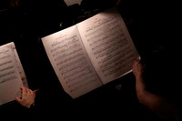 20240417_Swan_Lake_Orchestra_DSC5058.ARW