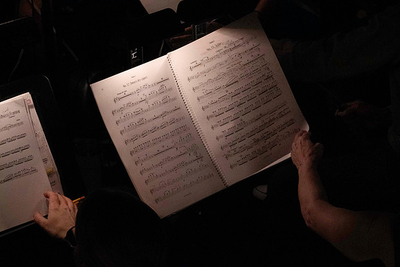 20240417_Swan_Lake_Orchestra_DSC5058.ARW