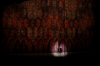 20151023_MCB_Swan_Lake_Prefomance_Arsht__75A2250