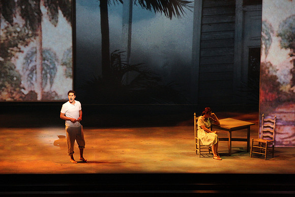 Before Night Falls Florida Grand Opera by Jorge Martin with Dolores M. Koch