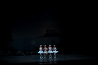 20151025_MCB_Swan_Lake_2Cast_Arsht_IMG_0007
