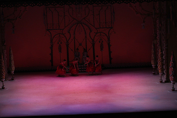 20141229_Nutcracker_WPB_Flowers__CG3P2025
